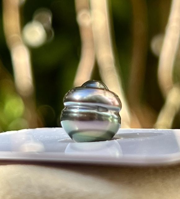 Une perle de culture de Tahiti cerclée sélection, au lustre excellent, dont la teinte rare peacock bleu clair reflète la lumière des lagons polynésiens